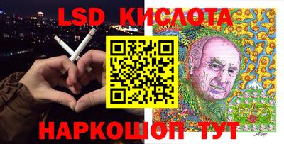 винт Можга