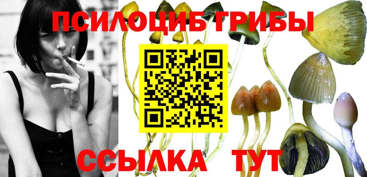 Галлюциногенные грибы мухоморы  цены   Владикавказ  Вход с VPN 